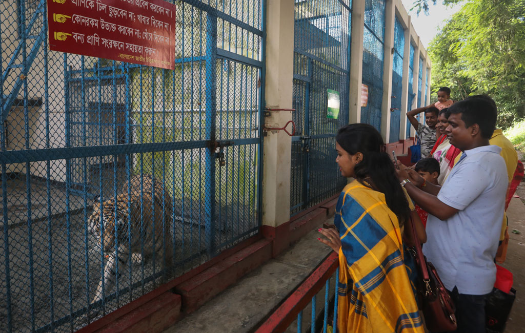 দীর্ঘদিন বন্ধ থাকার পর খুলে দেওয়া হলো জাতীয় চিড়িয়াখানা