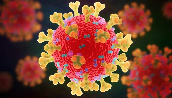 ঝলকাঠিতে ২৪ ঘন্টায় ৫০জন করোনায় আক্রান্ত