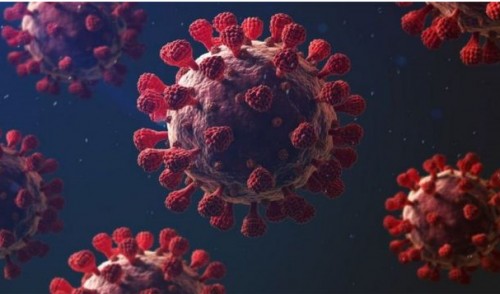 ঝালকাঠি জেলায় বাড়ছে করোনা সংক্রমণ