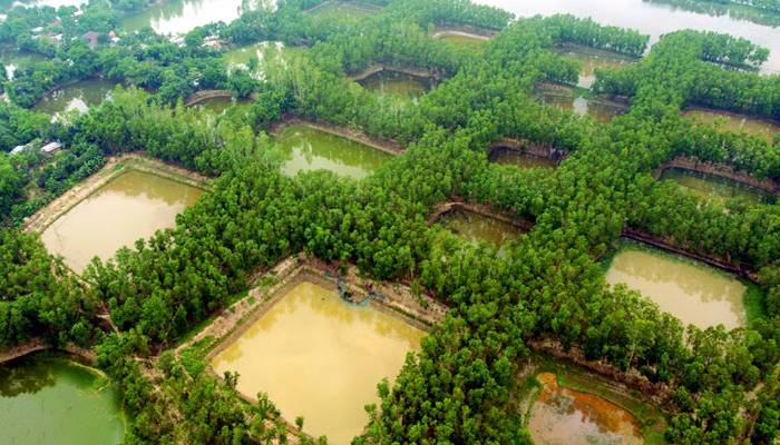 ৩৬৫টি পুকুর খনন, শুধু স্ত্রীকে ভালোবেসে