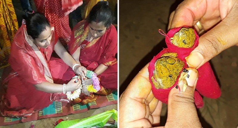 দিনাজপুরে বৃষ্টির জন্য ‘ব্যাঙের বিয়ে’!