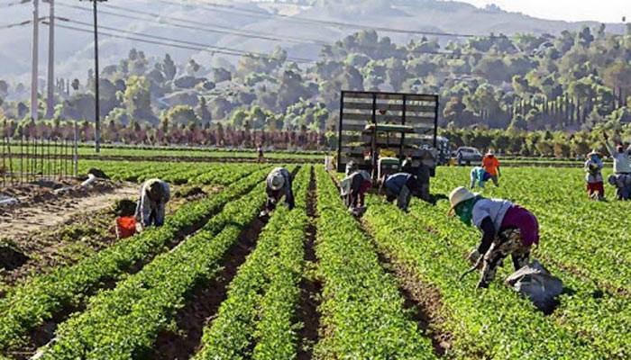 পর্তুগালে ৮০ হাজার কর্মী নেবে