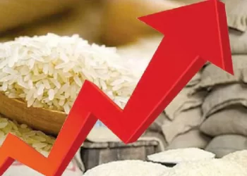 চাল কেজিপ্রতি ১৫ টাকা পর্যন্ত বাড়লো