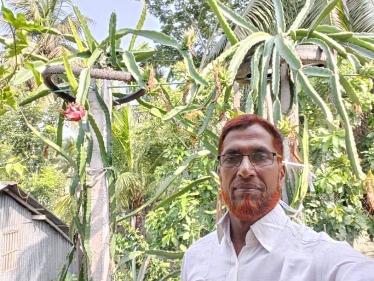 কাঠালিয়ায় ভবনের ছাদে বন কর্মকর্তার ড্রাগন চাষ