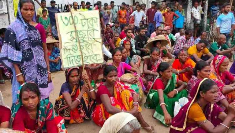 ১৪৫ টাকা মজুরি মানেন না চা-শ্রমিকেরা, আবার ধর্মঘটের ঘোষণা