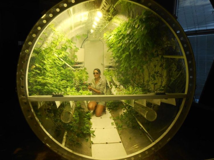 প্রথম বাণিজ্যিক গ্রিনহাউজ যাচ্ছে মহাকাশে ২০২৩ সালে