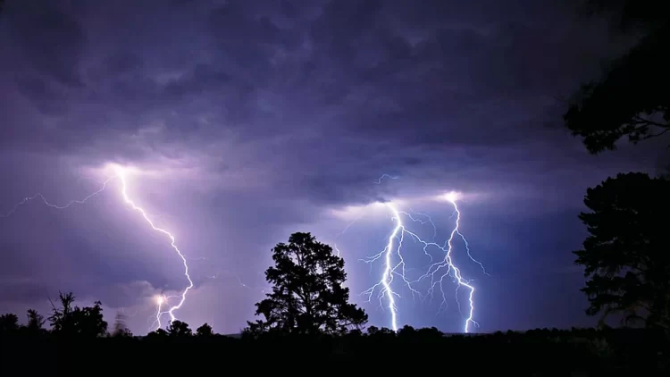 নানা-নাতি বজ্রপাতে নিহত