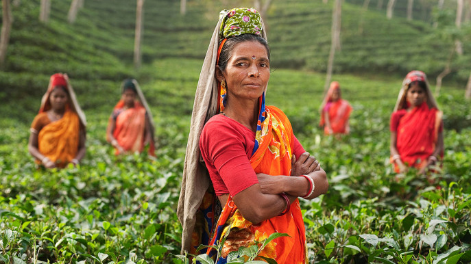 প্রধানমন্ত্রী শেখ হাচিনার সাথে বৈঠক শেষে বাড়ানো হলো চা শ্রমিকদের মজুরি