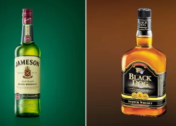 Whisky আর Whiskey এর কী তফাত জানেন তো?