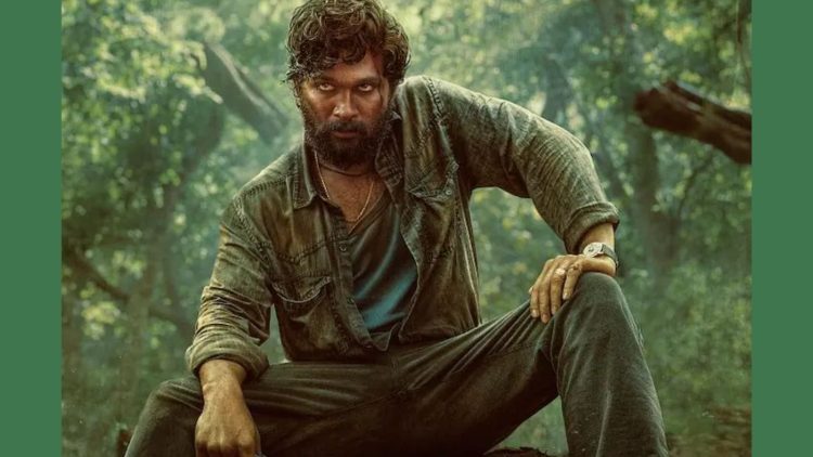 পুষ্প টু : ডিসেম্বরের শীতে বক্স অফিসে গরম ছড়াবে আল্লু অর্জুন!