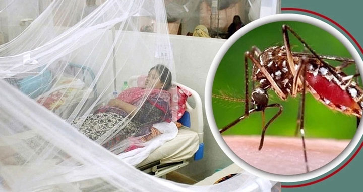 ডেঙ্গুতে নেই মৃত্যু, কমেছে নতুন শনাক্ত