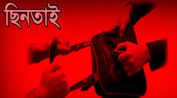 কাঠালিয়ায় গাছ কাটার দৃশ্য ধারণ করায় প্রবাসী নারীর স্বর্ন টাকা ছিনতাই
