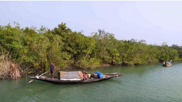 ১০০ দিনের জন্য সুন্দরবনে মাছ ধরা ও পর্যটক প্রবেশ বন্ধ