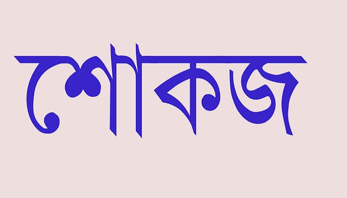 প্রার্থী হওয়া বিএনপির ১৯ জনকে শোকজ