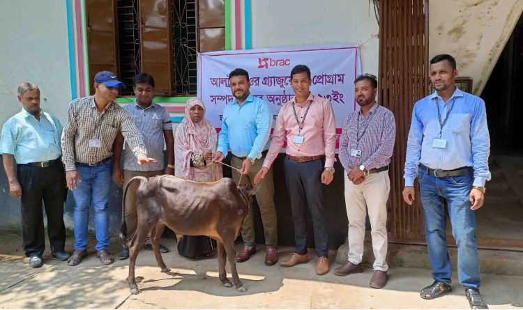 কাঠালিয়াতে ব্র্যাকের আলট্রা-পুওর গ্র্যাজুয়েশন (ইউপিজি) কর্মসূচি ষাড় গরু প্রদান