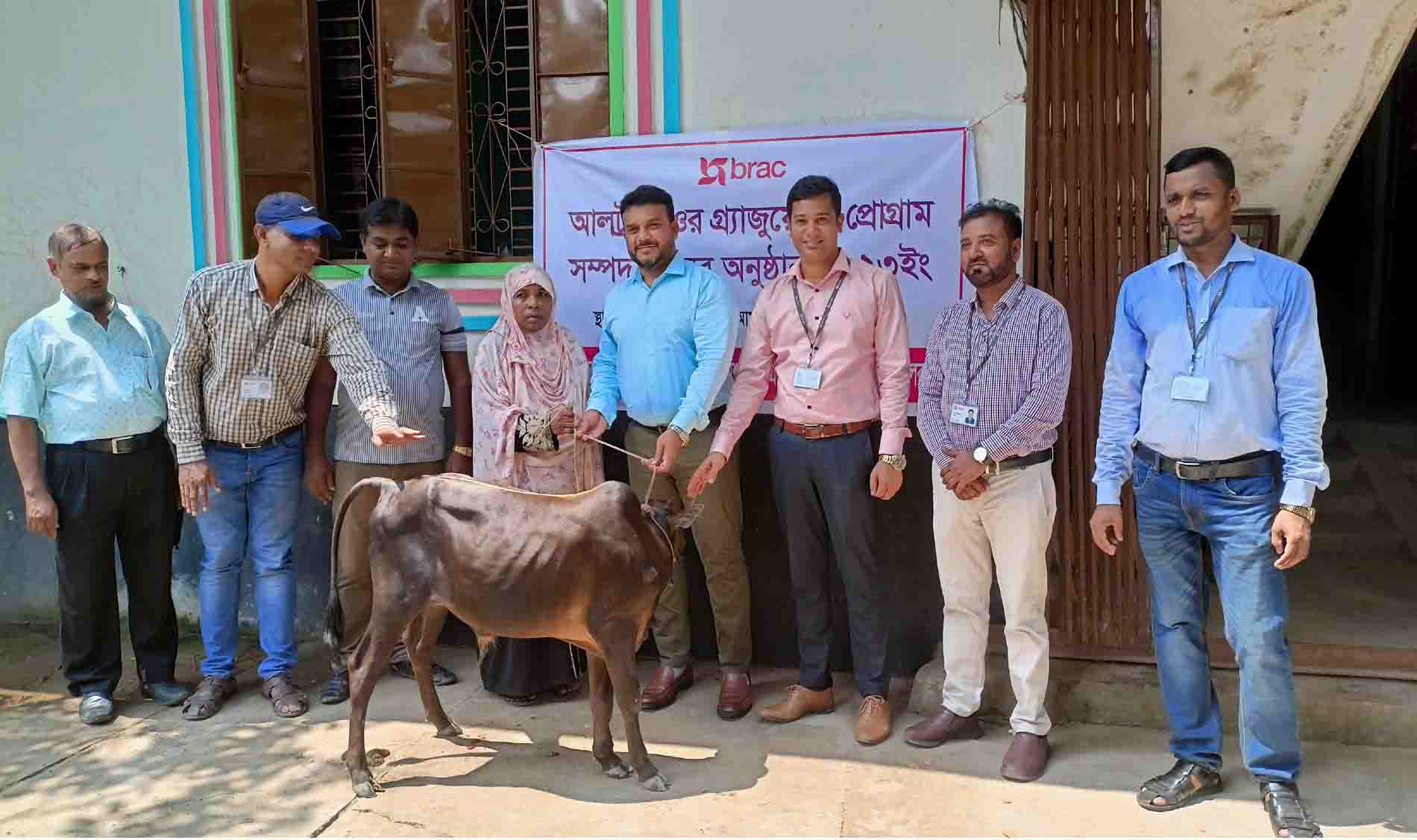 কাঠালিয়াতে ব্র্যাকের আলট্রা-পুওর গ্র্যাজুয়েশন (ইউপিজি) কর্মসূচি ষাড় গরু প্রদান