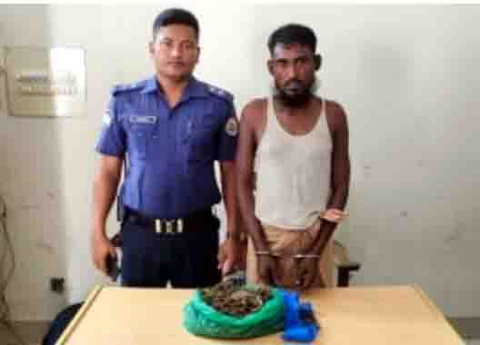 বরগুনায় গাঁজা সহ মাদক কারবারি আটক