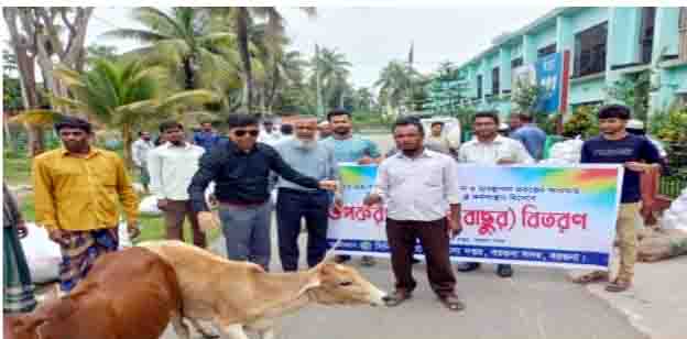 বরগুনায় জেলেদের মাঝে জাল ও গরুর বকনা বাছুর বিতরণ