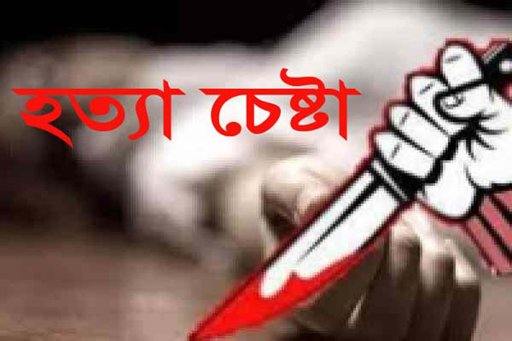 কাঠালিয়ায় বিশ্ববিদ্যালয়ের শিক্ষার্থীকে হত্যার চেষ্টা