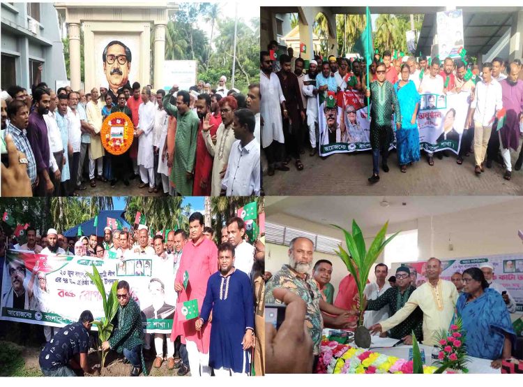 কাঠালিয়ায় বনার্ঢ্য আয়োজনে আওয়ামী লীগের প্রতিষ্ঠাবার্ষিকী পালিত