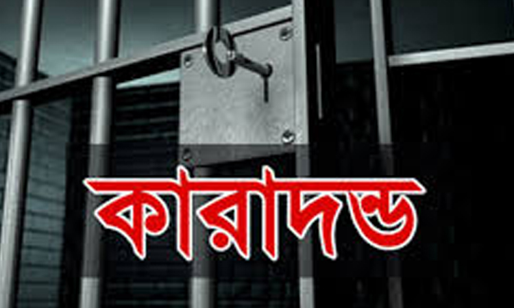 ঝালকাঠিতে মাদক নিয়ন্ত্রণ আইনের মামলায় তুহিনের ৯ বছর সশ্রম কারাদন্ড