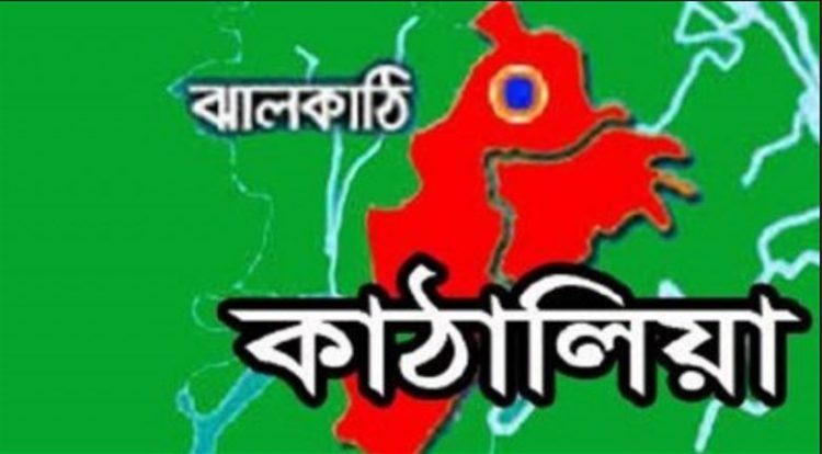কাঠালিয়ায় মাসিক আইন শৃংখলা সভা
