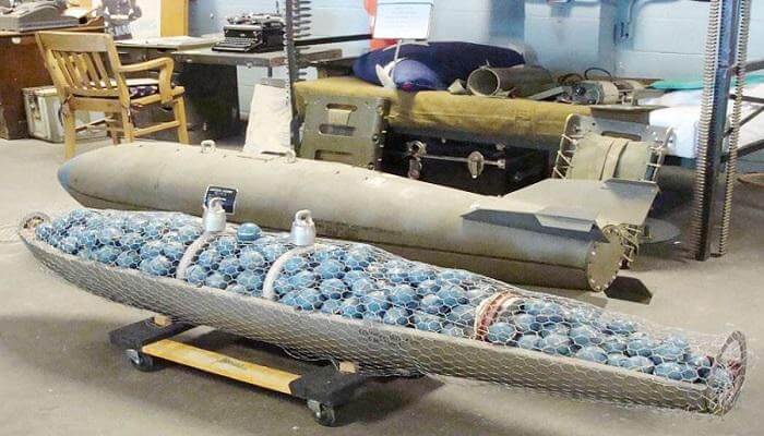 বিভিন্ন দেশের আপত্তি থাকা সত্ত্বেও ইউক্রেনে পৌঁছেছে যুক্তরাষ্ট্রের ক্লাস্টার বোমা