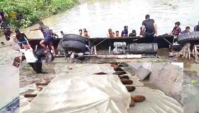 ঝালকাঠিতে বাস দুর্ঘটনায় কাঠালিয়ার একনারীসহ ২ জন নিহত
