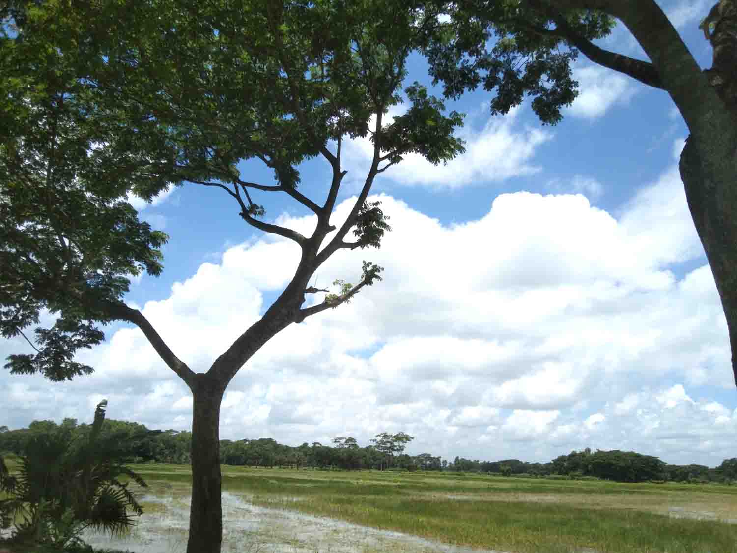 বর্ষায় শরতের আকাশে গ্রীস্মের তাপ
