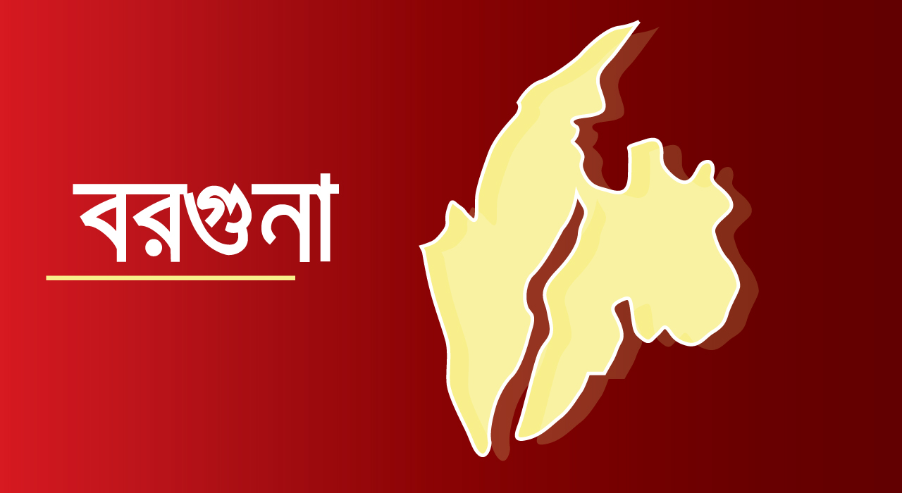 বরগুনায় দিন দিন বাড়ছে ডেঙ্গু রোগীর আক্রান্তের সংখ্যা