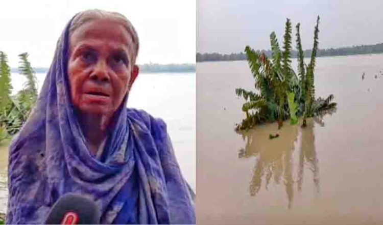 ঝালকাঠিতে পানি বৃদ্ধিতে নদী ভাঙনে বসতঘরসহ রাস্তা ও গাছপালা বিলীন
