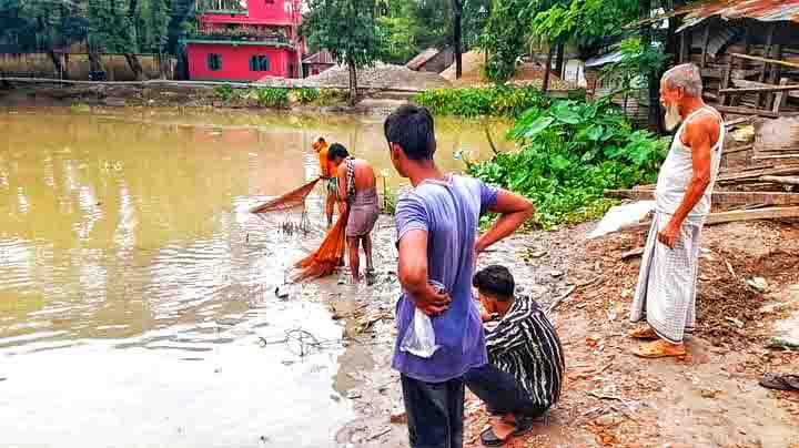 রাজাপুরে খালে বিষ দিয়ে দেশী প্রজাতির মাছ নিধন