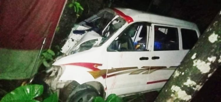 ঝালকাঠিতে অ্যাম্বুলেন্স নিয়ন্ত্রণ হারিয়ে গাছের সঙ্গে ধাক্কা রোগীসহ আহত- ৭