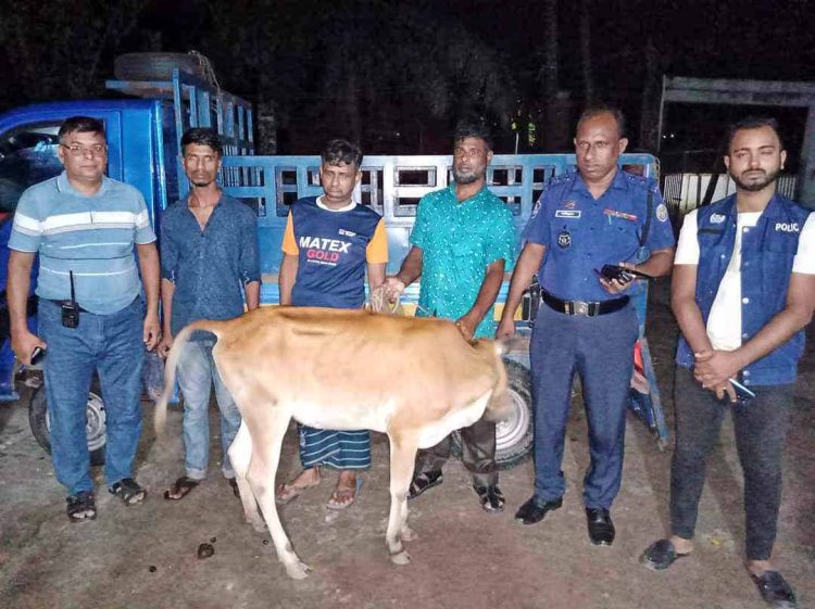 ঝালকাঠিতে গরুসহ চোর চক্রের ২ সদস্য আটক