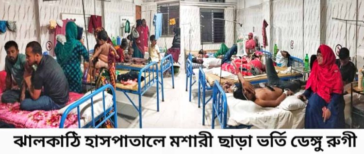 মশারী ছাড়া হাসপাতালে ভর্তি ডেঙ্গু রুগী ঝালকাঠিতে ডেঙ্গু, আল্টাসোনগ্রাম পরিক্ষা বন্ধ