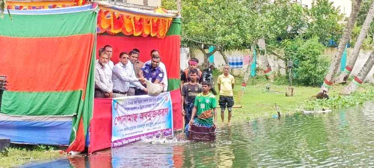ঝালকাঠিতে ১৩ টি প্রাতিষ্ঠানিক জলাশয়ে বিভিন্ন প্রজাতির মাছের পোনা অবমুক্ত 