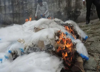 ঝালকাঠিতে মা ইলিশ সংরক্ষণ অভিযানে ৪ দিনে ৯ কেজি মাছ, ৭ লক্ষাধিক টাকার জাল আটক