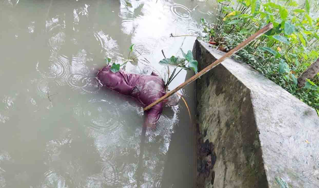 নলছিটিতে খাল থেকে বৃদ্ধের মরদেহ উদ্ধার 