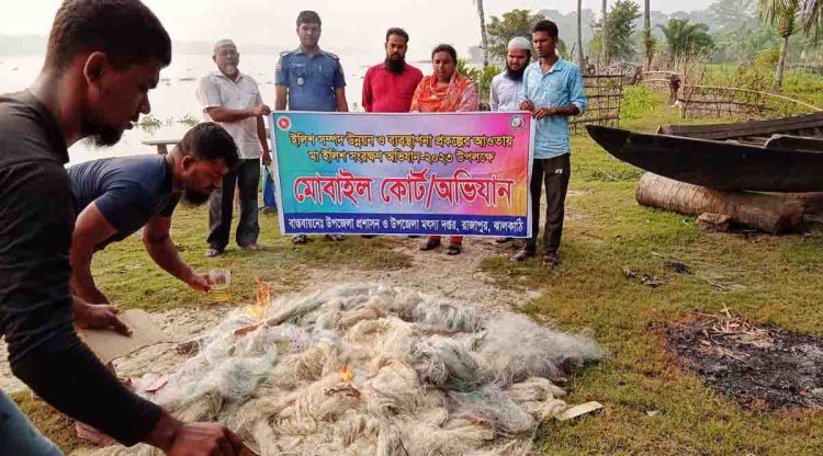 রাজাপুরে নিষেধাজ্ঞা অমান্য করে ইলিশ শিকার করায় দুইজন জেলেকে এক বছর কারাদণ্ড 