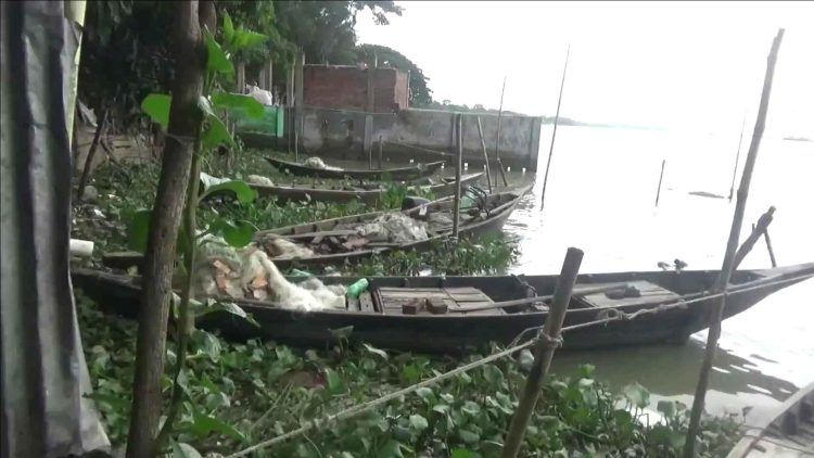 ঝালকাঠির সুগন্ধা ও বিষখালী নদীতে ইলিশ ধরা বন্ধ অভিযান শুরু করেছে মৎস্য বিভাগ
