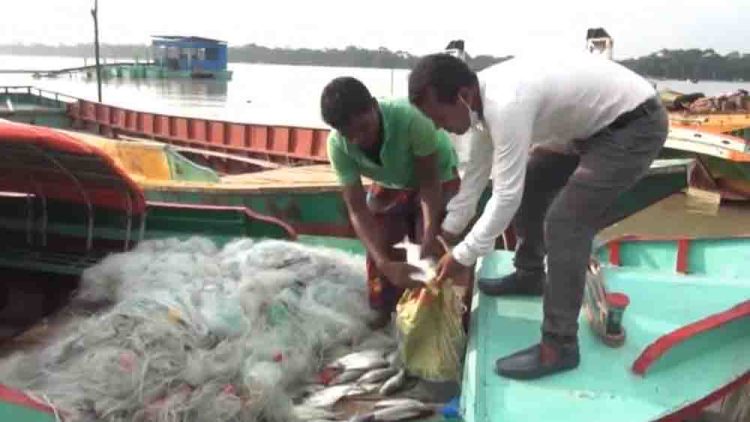 ঝালকাঠি ইলিশ রক্ষা অভিযানে ৩০ হাজার মিটার জাল ও ১০ কেজি ইলিশ জব্দ
