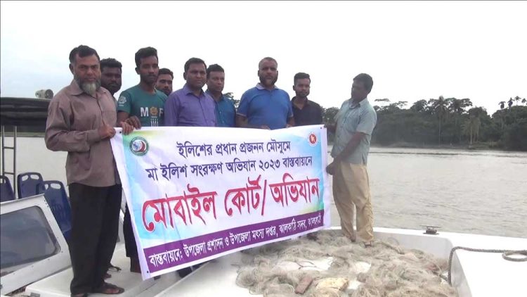 ঝালকাঠিতে দুই জেলেকে ১০ দিন করে কারাদন্ড, ৩৪ হাজার মিটার জাল জব্দ, ৩০ কেজি ইলিশ উদ্ধার