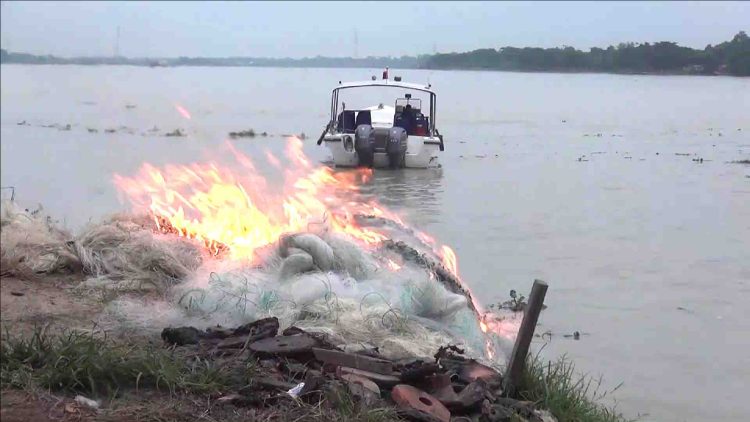 ঝালকাঠিতে ৩০ হাজার মিটার জাল জব্দ, ১৩ কেজি ইলিশ উদ্ধার