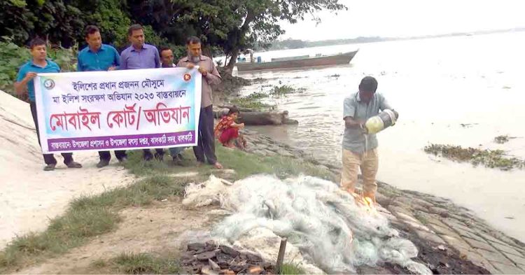 ঝালকাঠিতে ৫০ হাজার ৫০০ মিটার জাল জব্দ, ৫৩ কেজি ইলিশ উদ্ধার