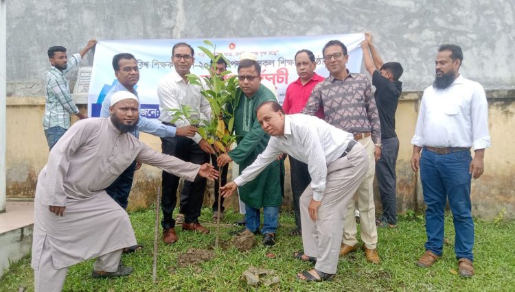 কাঁঠালিয়ায় ২০৪টি শিক্ষা প্রতিষ্ঠানে গাছের চারা রোপনের মধ্য দিয়ে বর্ণিল আয়োজনে বিশ্ব শিক্ষক দিবস পালিত