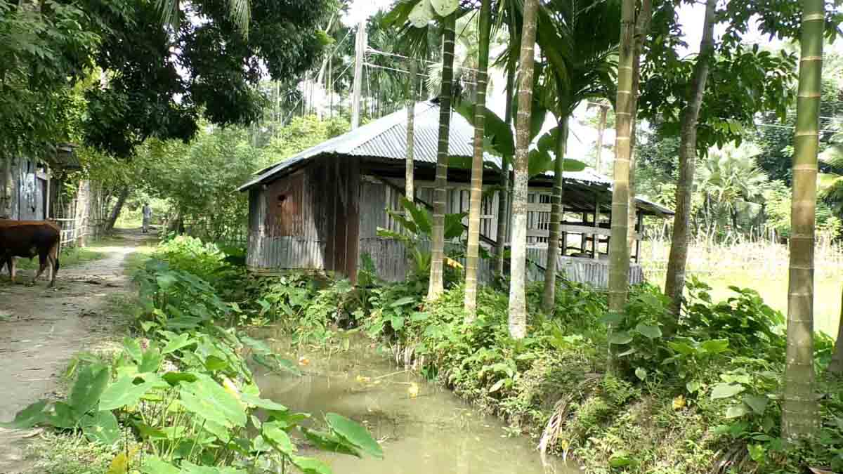 কাঠালিয়ায় খাল খনন না করায় জলাবদ্ধতায় ফসল নষ্ট, শুস্ক মৌসুমে পানির সংকট