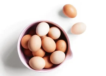 আজকে বিশ্ব ডিম দিবস
