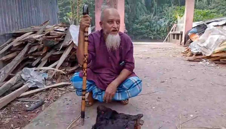 কাঠালিয়ায় গরু জবাই করে গোশত নিয়ে গেছে চোরচক্র!