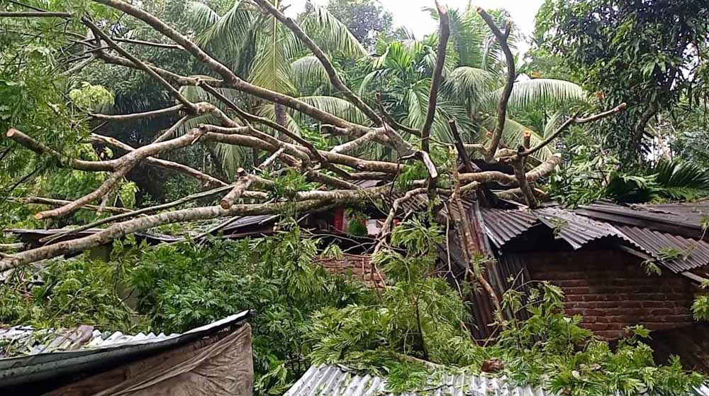 ঘূর্ণিঝড় মিধিলি’র আঘাতে কাঁঠালিয়ায় বেরিবাঁধসহ বাড়িঘর,গাছপালা, বিদ্যুতের খুঁটি বিধ্বস্ত, বিদ্যুৎ সংযোগ বিচ্ছিন্ন, কৃষির ব্যাপক ক্ষতি