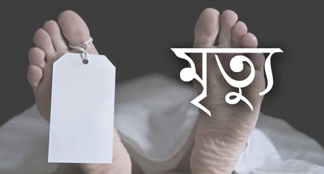 জমি বিরোধের ঝগড়া, লাথিতে বৃদ্ধের মৃত্যু